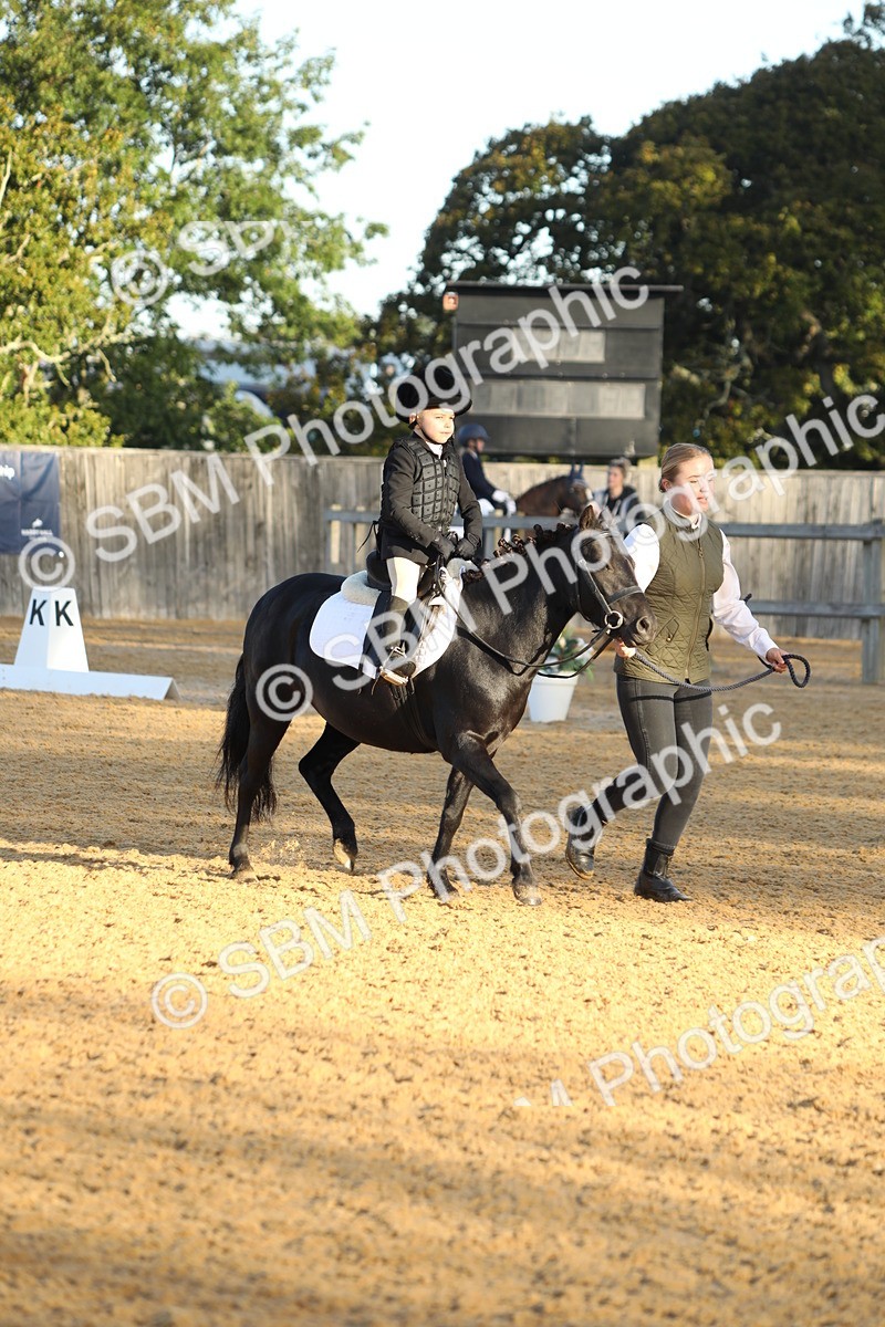 SBM_33556 - D26 - Starers - Lead Rein