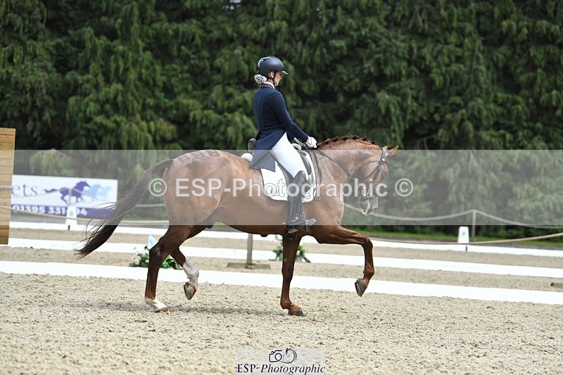 230812-140812-04617 - Cls 7 FEI PSG Bronze