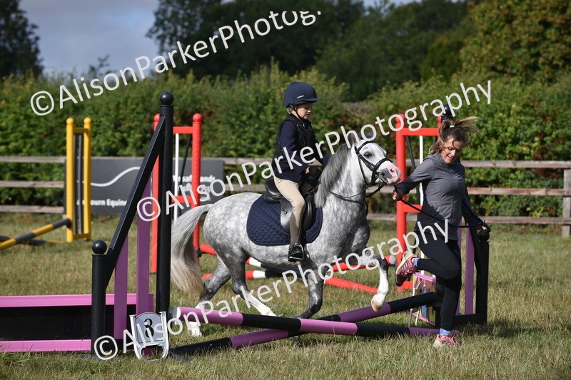 20250831-0339 - Class 6 - Minimus Jumping 30cm