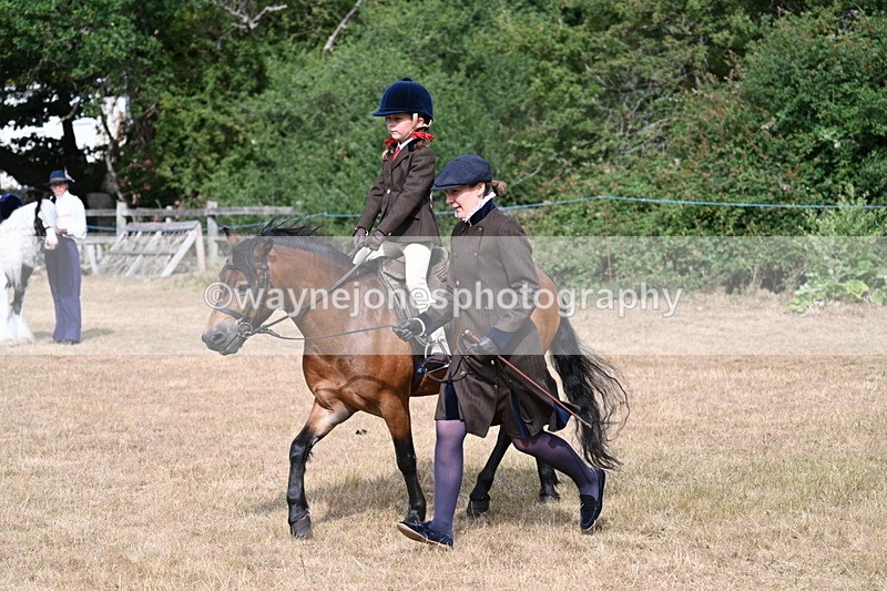WJ7_6510 - Class 1 Lead Rein Pony
