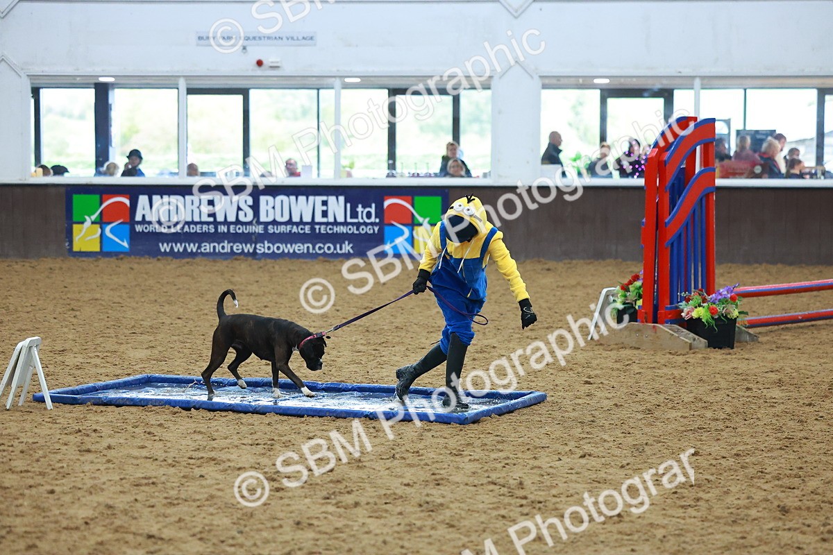 SBM_002262 - Class 3 - Horse & Hound (60cm)