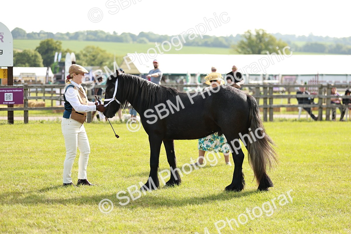 SBM_00731 - Class 14-23 - Mountain & Moorland In Hand Non Welsh