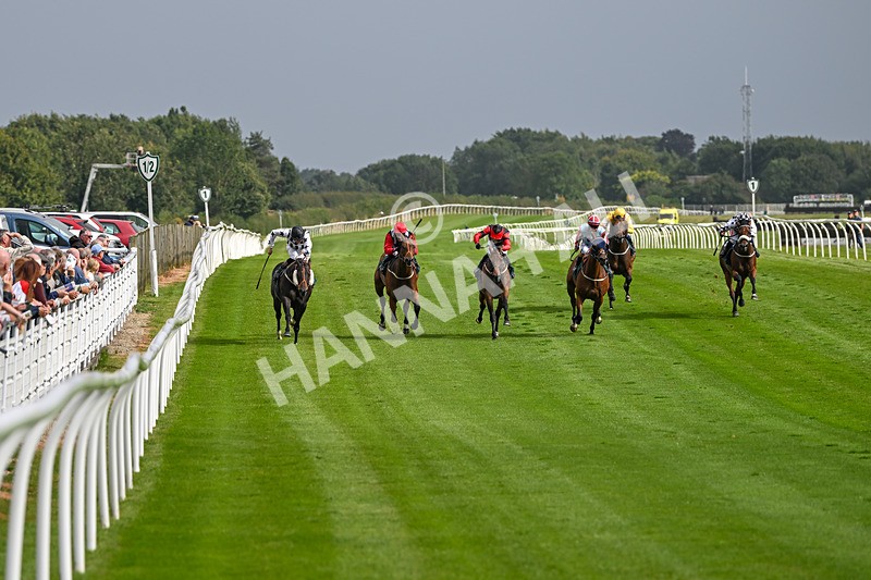 190824-Race 5-Birkenhead-3806 - Race 5