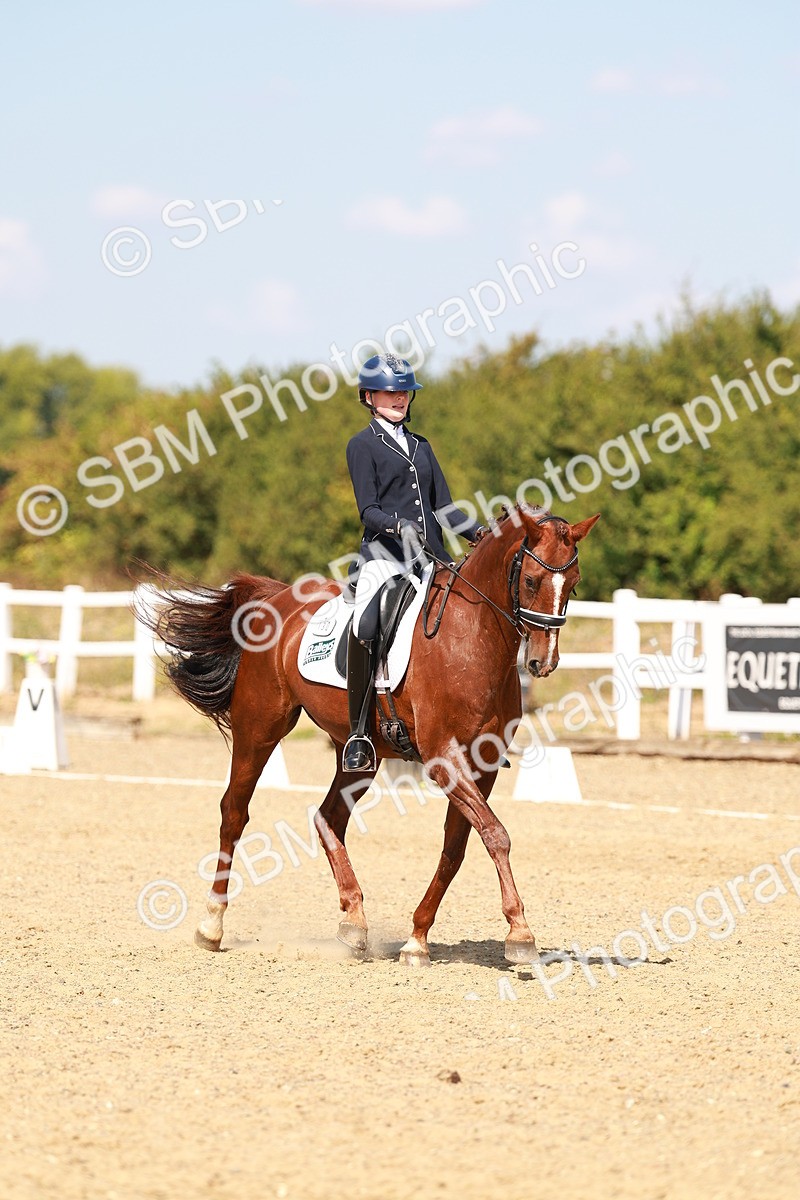 SBM_018306 - Class 9 - N5 Bronze 11.57.13.07