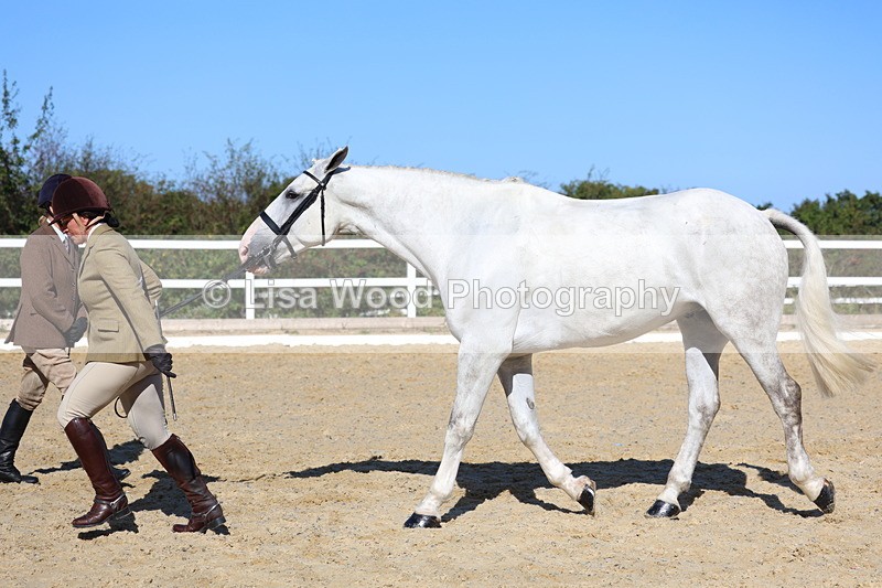 3E7A5582 - Class 9: Open Ridden Hunter