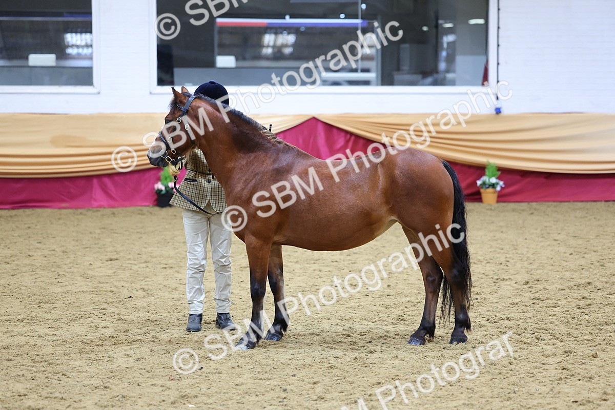 SBM_20899 - Class 902 - Supreme Final IH Veteran
