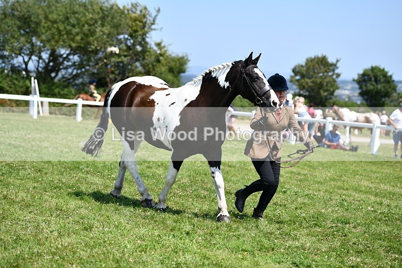 DSC_7742 - Class 64: Coloured Pony 4yrs & over