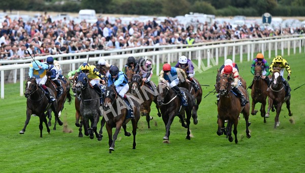220825-133 Asfoora - Race 4 3.35pm Coolmore Wootton Bassett Nunthorpe Stakes