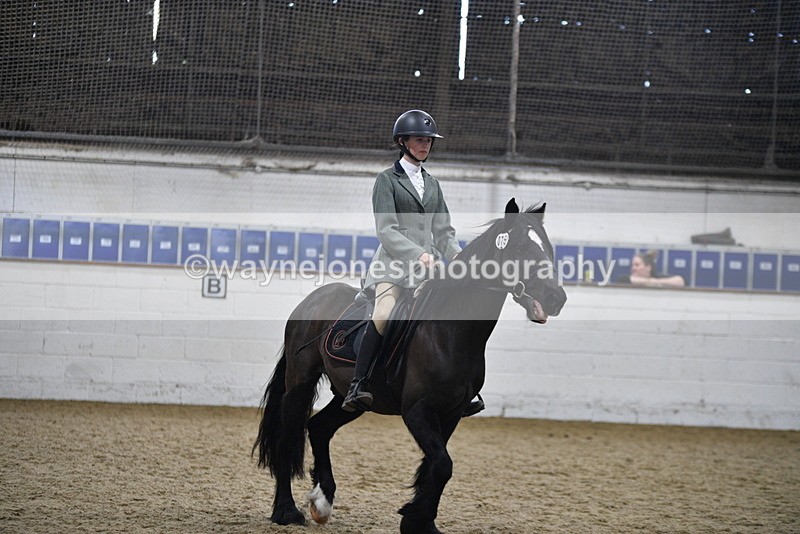 WJ5_7871 - Class 13 Ridden Part Breed