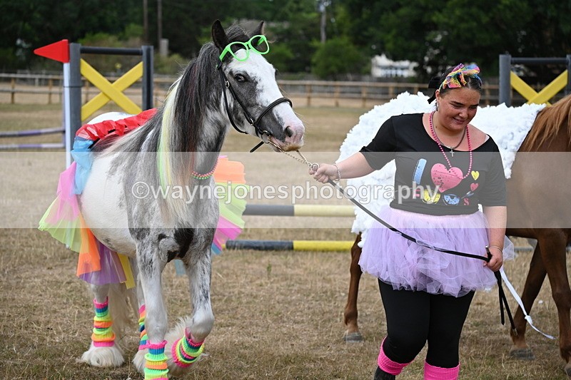 WJ6_8730 - Class 11 Fancy Dress