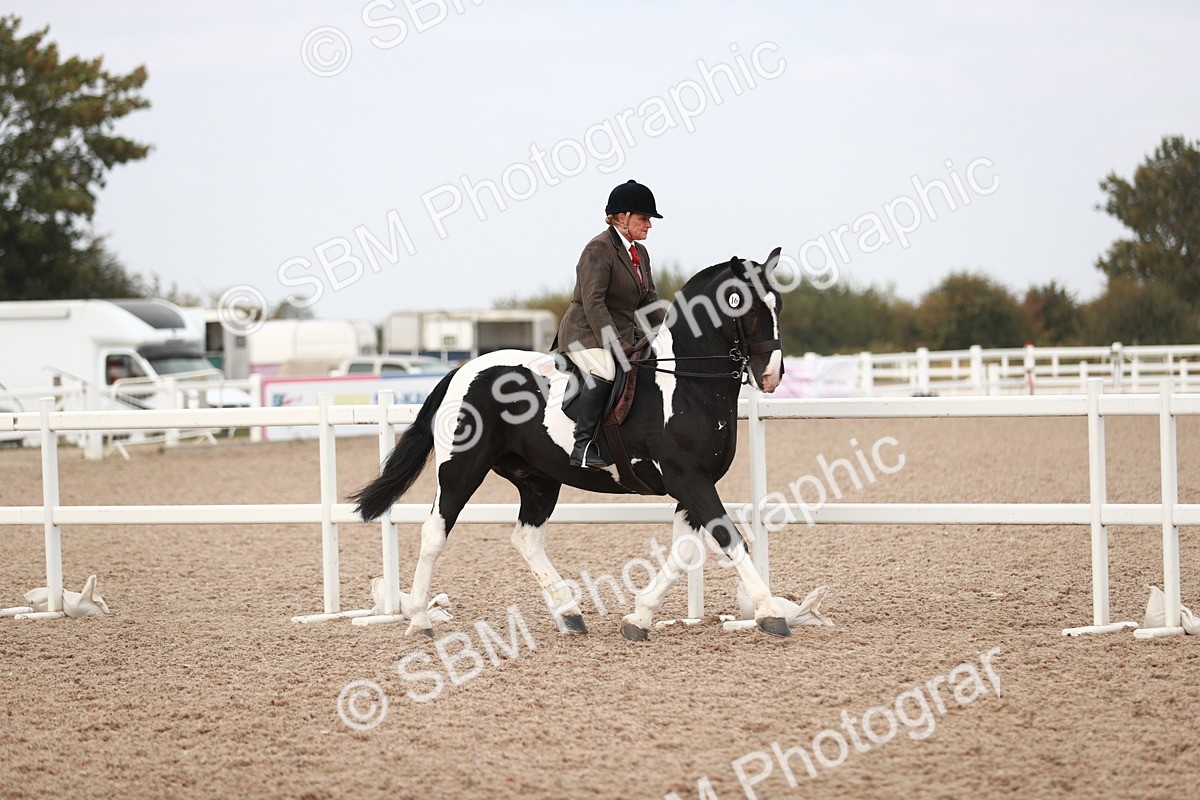 SBM_16655 - Class 214 Ridden Cob