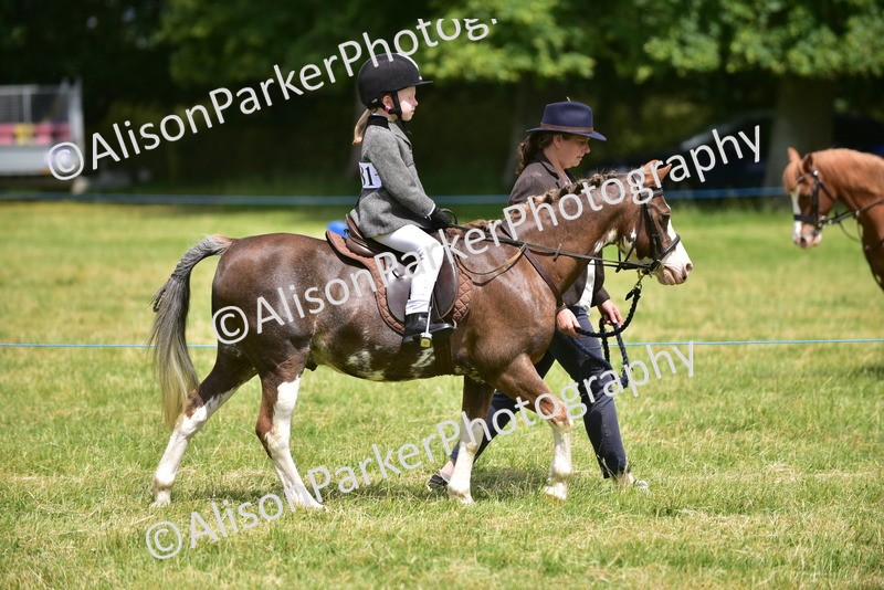 20260614-1356 - Class 11b - Lead Rein Pony (Plaited)