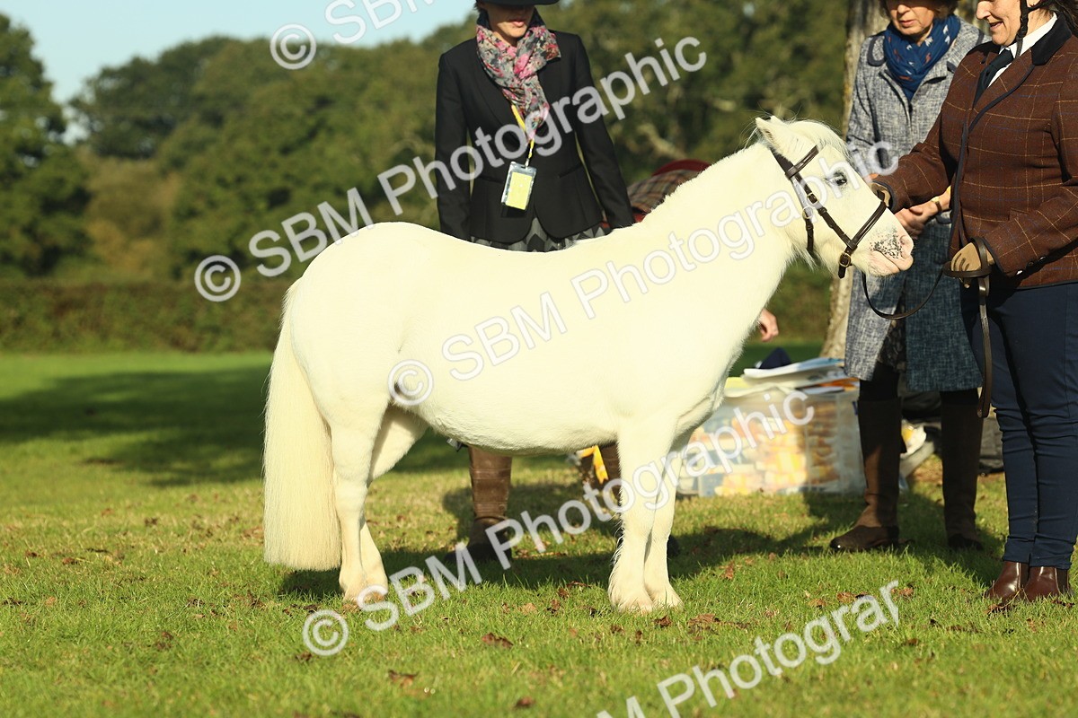 SBM_58580 - S37 - Starters In Hand Showing