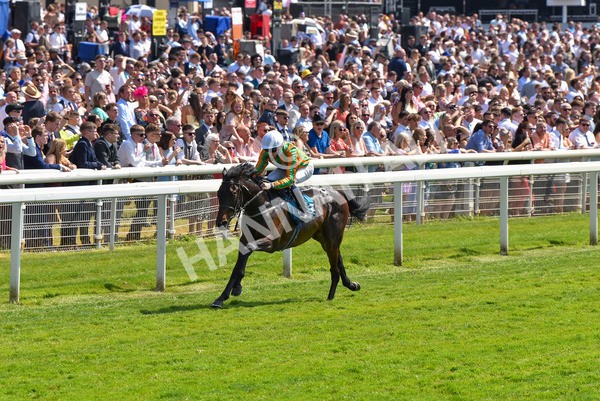 270523-Race 2-Native American-4107 - Race 2 2.10pm Collective Green Energy EBF Restricted Novice Stakes
