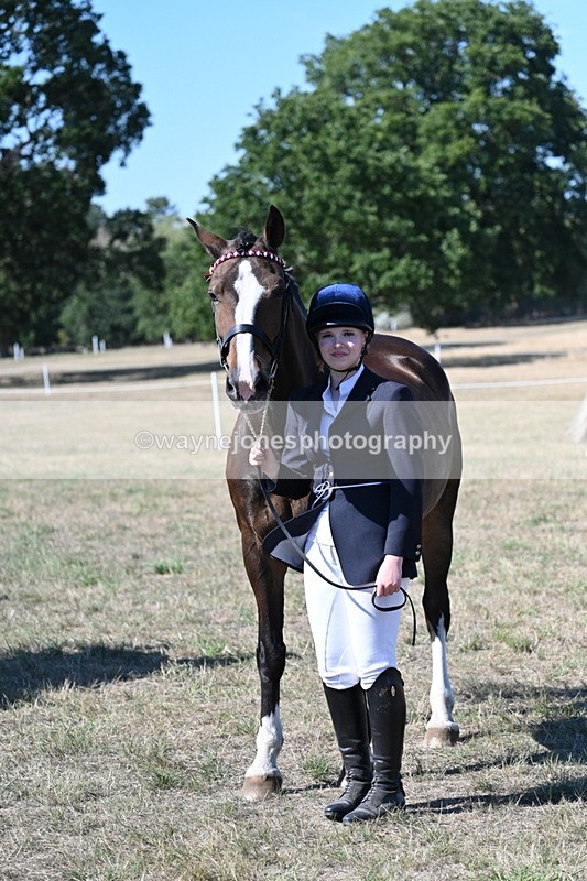 WJ7_1567 - Class 42 Most Handsome Gelding