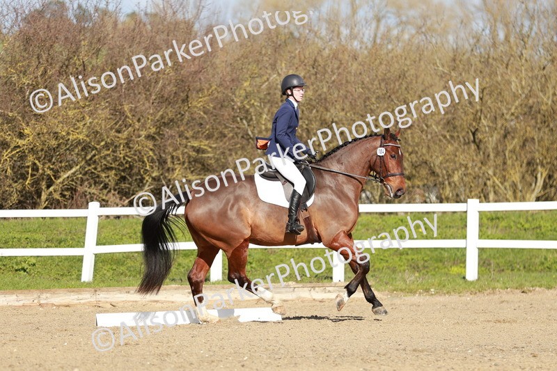 20260314-4424 - DR4 - Prelim 2