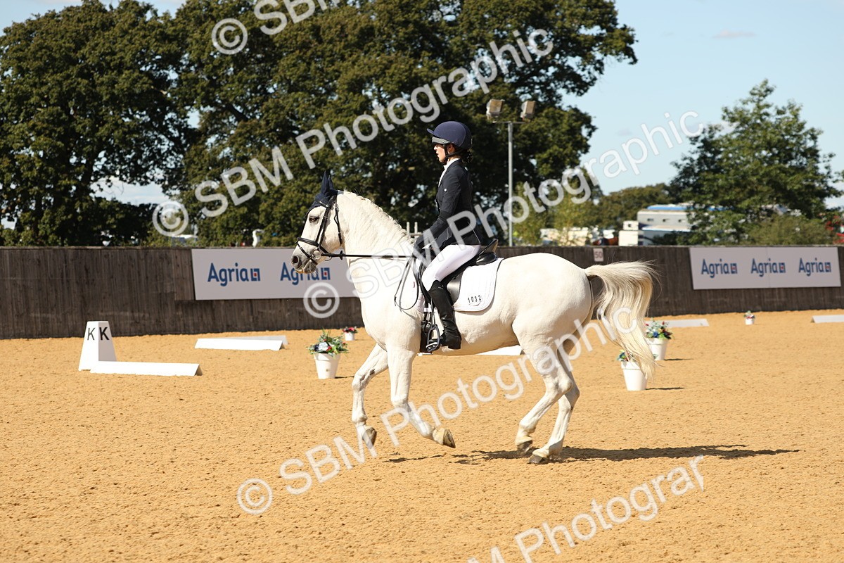 SBM_22367 - D17 - Grand Tour Championship - Novice 27