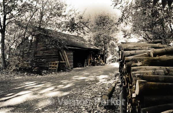  - Traditional Black & White