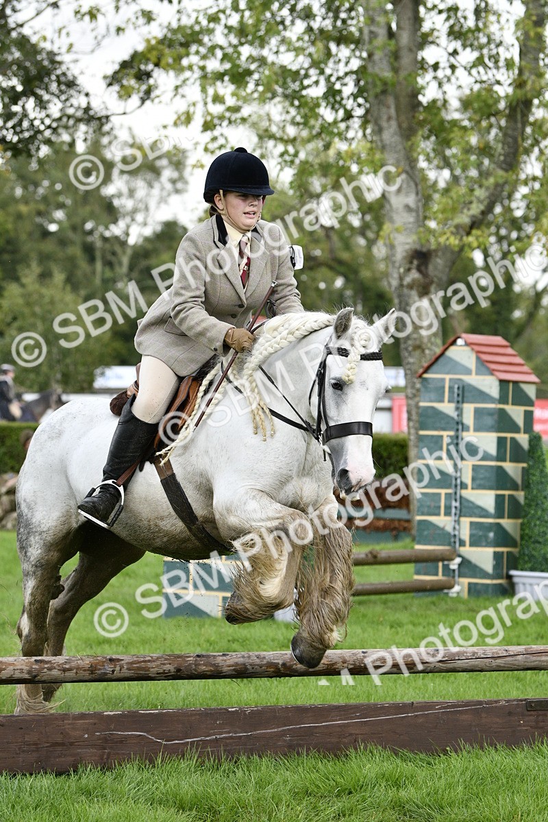 SBM_41544 - S32 - Mountain & Moorland Working Hunter Pony