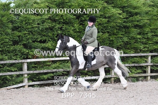 BPP_7345 - RING 1  (RIDDEN HORSES / IN HAND / VETERAN ETC)