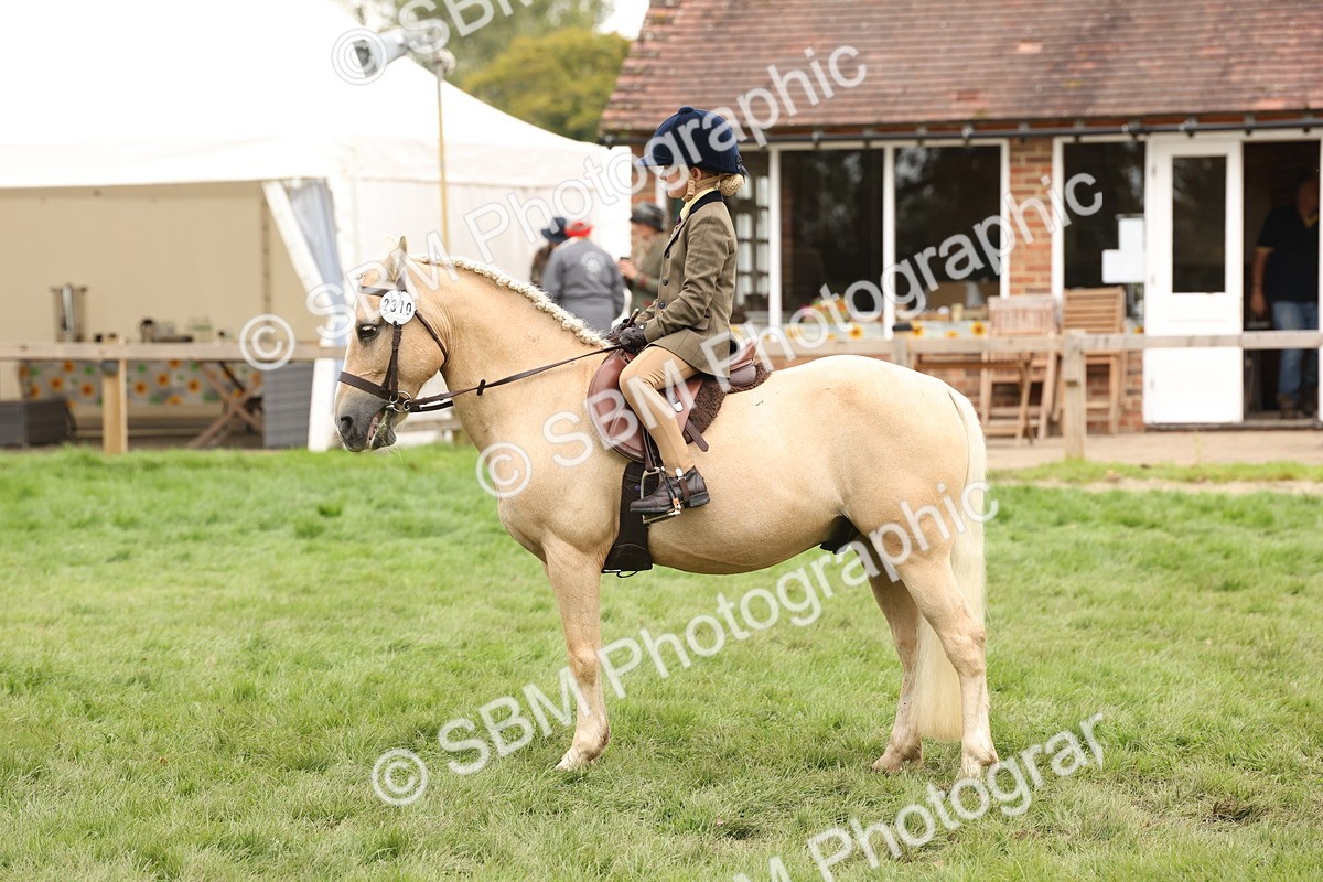 SBM_63033 - S64 - Foreign Breeds Ridden