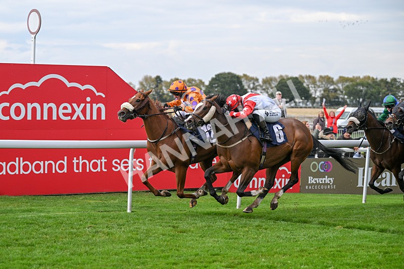 240924-Race 5-Ifonlytheycudtalk-6497 - Race 5