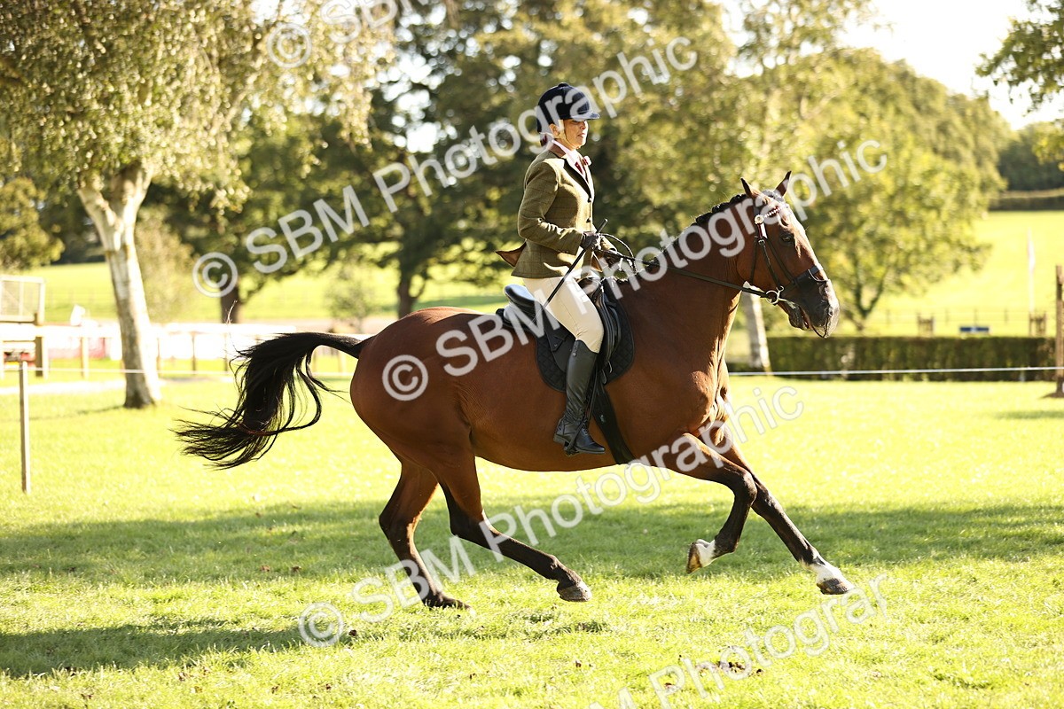 SBM_26454 - S6 - Novice & Newcomers Ridden Horse