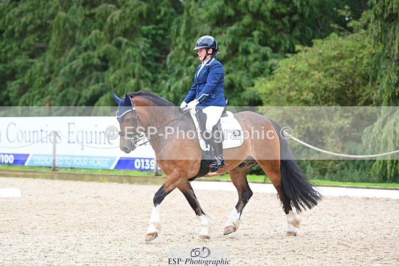 230813-142041-07728 - Cls 13 Medium Bronze 13.15 to End