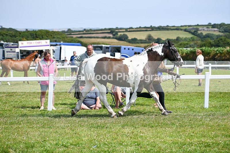DSC_8231 - Child Handler Championship