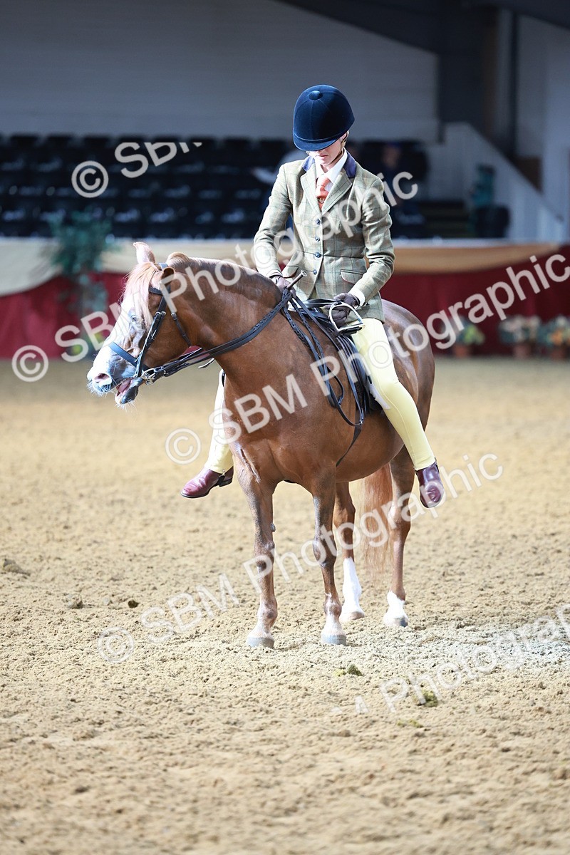 SBM_11907 - Class 102 - Equitation (Best Rider) Adult
