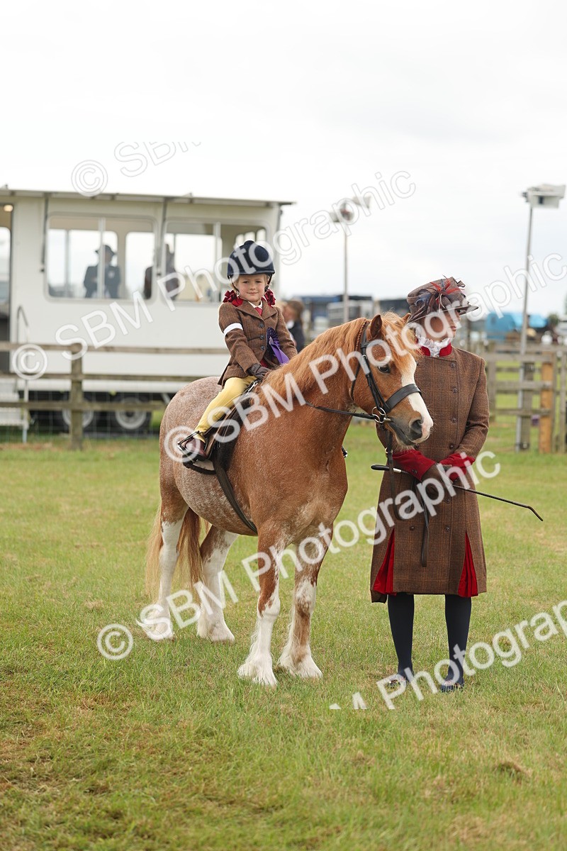 SBM_06820 - Class 74-75 - M&M Lead Rein and First Ridden Pony