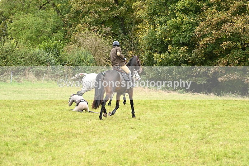 WJ7_4154 - Camera 1 Line 2