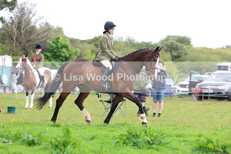 3E7A2500 - Classes 30 and 31: 80cm Working Hunter