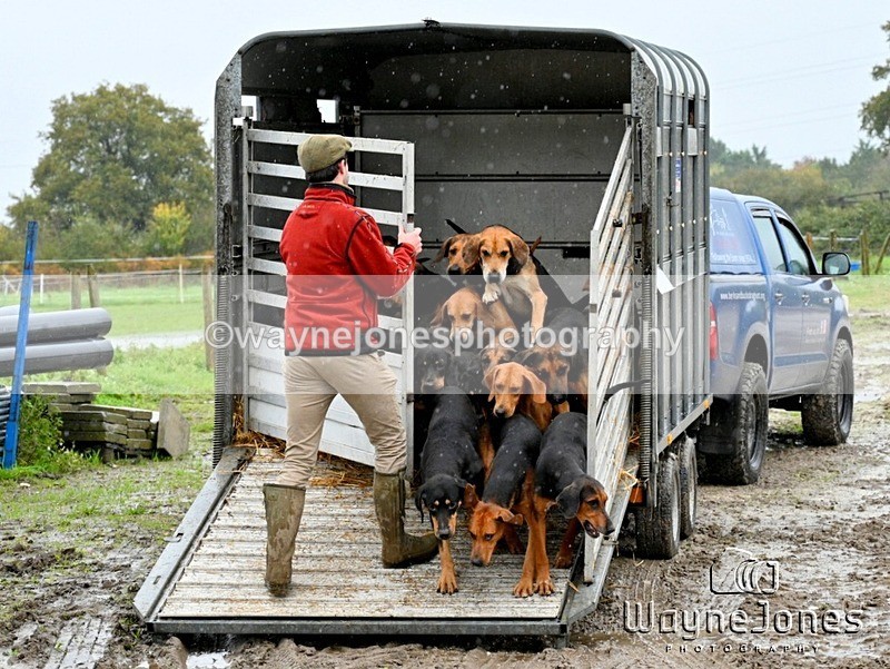 WJ7_8190 - Berks & Bucks Blackcroft Farm 20-10-24
