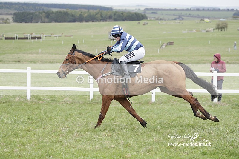 PtP 260323 0525 - New Forest Hounds Point-to-Point Larkhill 26/03/23