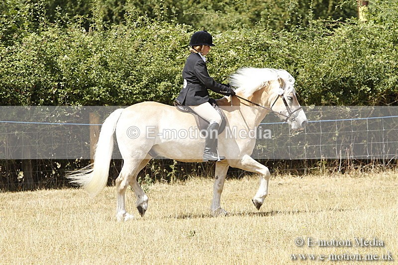 _BS_0716 - BVRC Show 2018 Ring 1