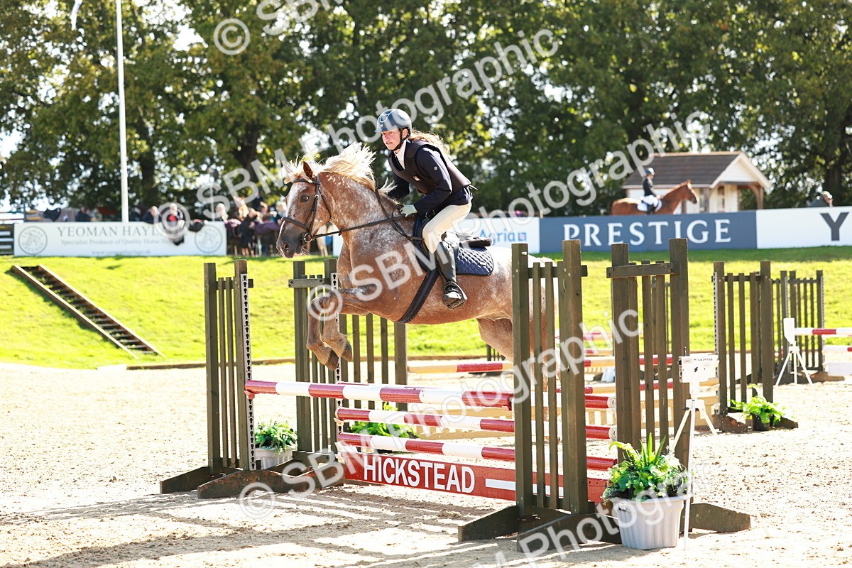 SBM_37998 - J39 - Senior Horse & Pony 85cm Championship