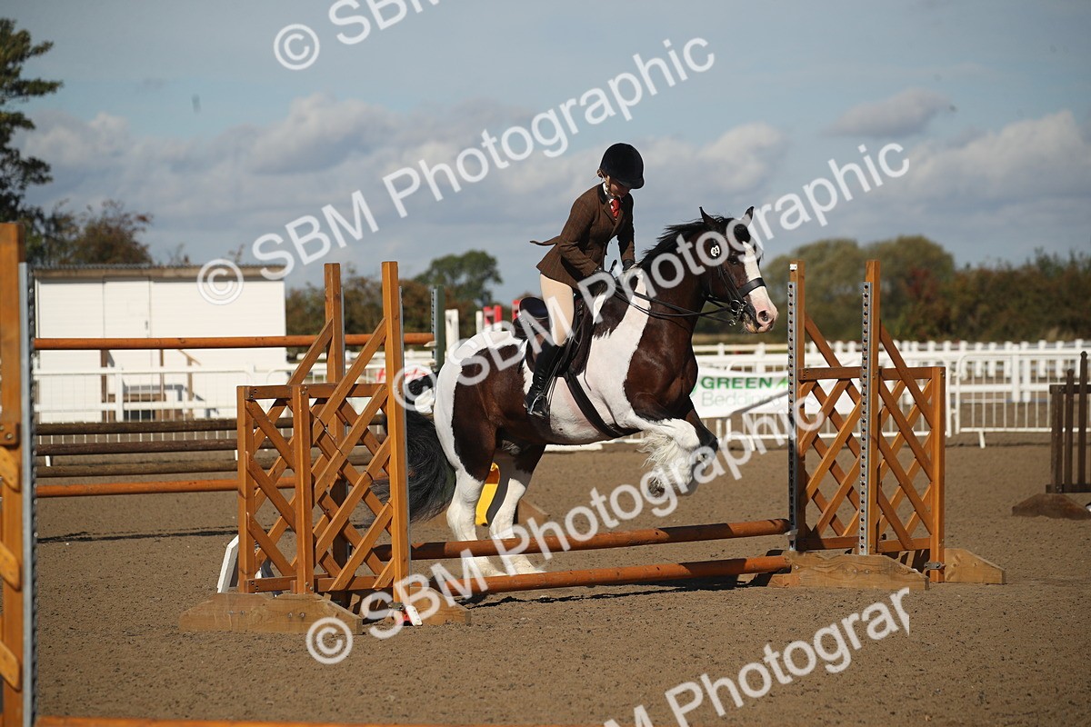 SBM_12738 - Class 504b - Junior Working Veteran - 40cm (20+)