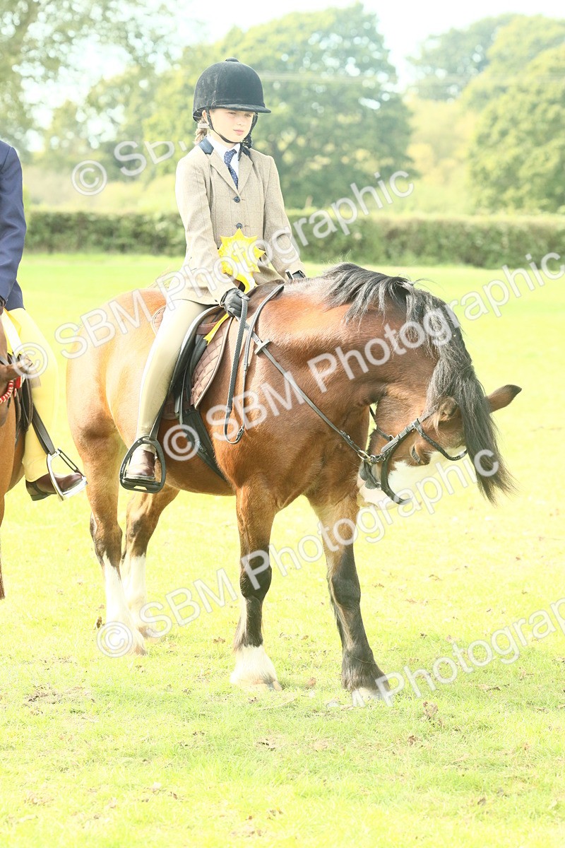 SBM_68164 - S57 - Part Bred Pony Ridden