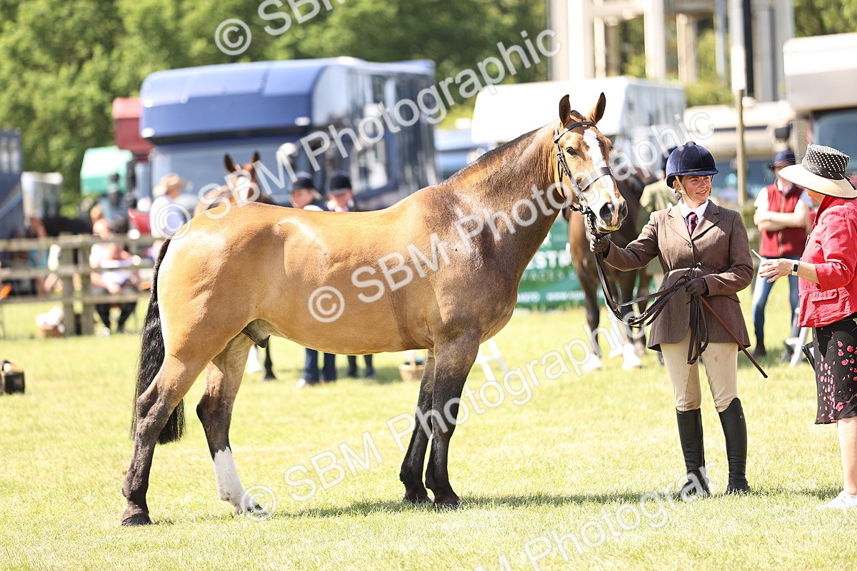 SBM_13835 - Class 77 - LIHS BSHA Rising Star Cobs