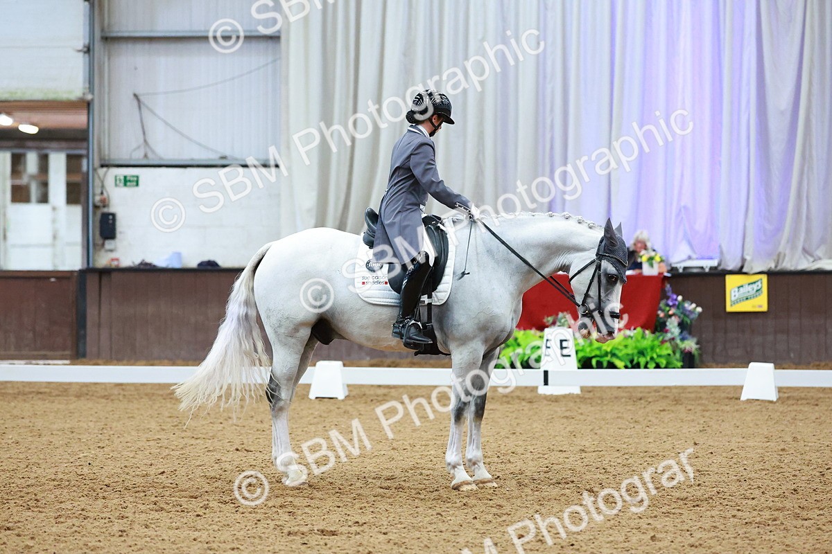 SBM_006018 - Class 7 - FEI INT I