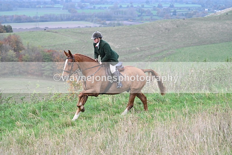 WJ7_9878 - Camera 1 & Last fence