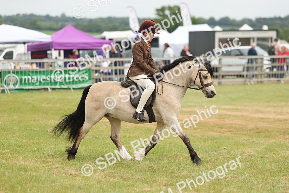 SBM_07110 - Class 76-77 - Ridden M&M Welsh Ponies