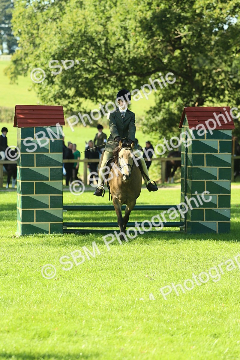 SBM_36512 - S29 - Novice & Newcomers Working Hunter Pony