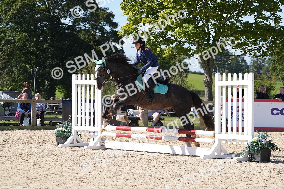 SBM_38756 - J21 - Junior Horse 60cm Championship