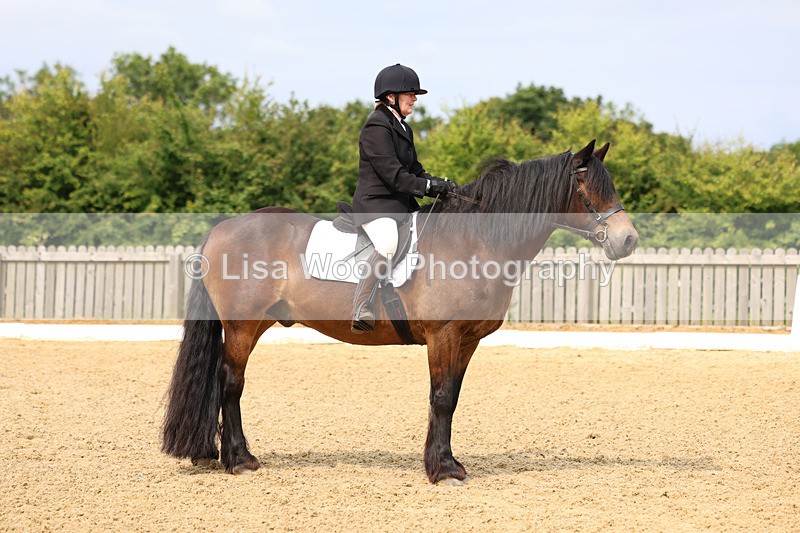 3E7A9096 - Class 2: Intro 1 2024 Section B