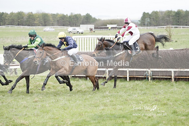 PtP 260323 0499 - New Forest Hounds Point-to-Point Larkhill 26/03/23
