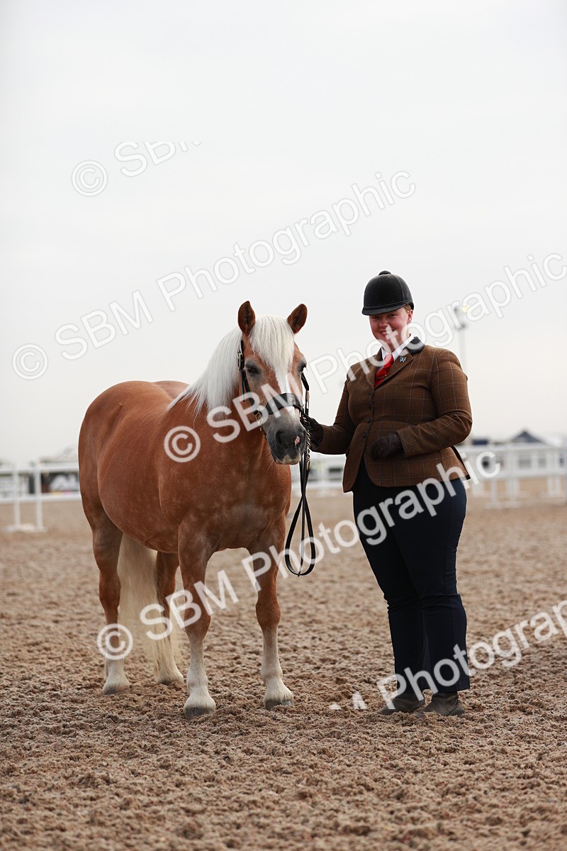 SBM_09520 - Class 201 Best Turned Out IH