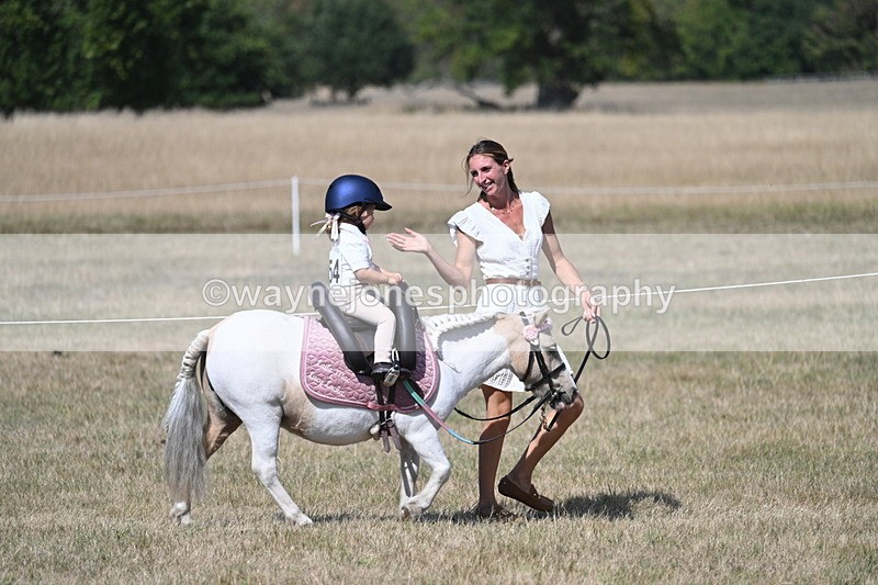 WJ7_1249 - Class 41 Prettiest Mare
