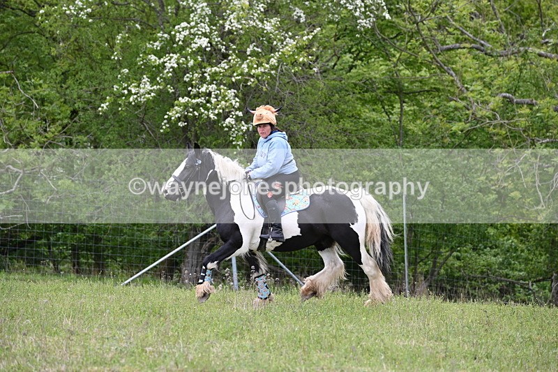 WJ6_1795 - Group 7 A&B Cameras